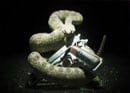 Hitman: Absolution - E3 2011: Debut Trailer - click to enlarge