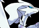 Pokemon Black & White