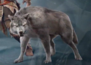 Assassin's Creed III