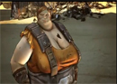 Borderlands 2