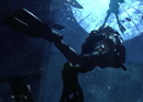 Call Of Duty: Ghosts
