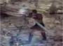 Clash of the Titans: The Videogame