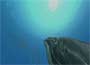 Endless Ocean 2