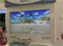 Wii Sports Resort
