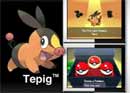 Pokemon Black and White