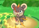 Pokemon X & Y
