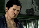 Sleeping Dogs