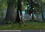 Star Wars: The Old Republic