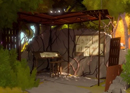 The Witness
