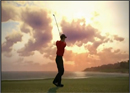 Tiger Woods PGA Tour 13
