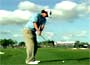 Tiger Woods PGA Tour 11