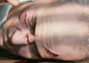 Tom Clancy's Rainbow Six: Patriots - VGA 2011 Trailer - click to enlarge