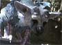 The Last Guardian