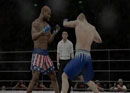 Undisputed UFC 3