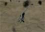 WarBird Dogfights