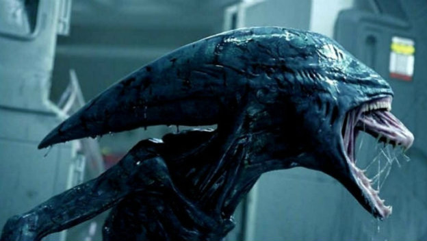 alien 11718.jpg
