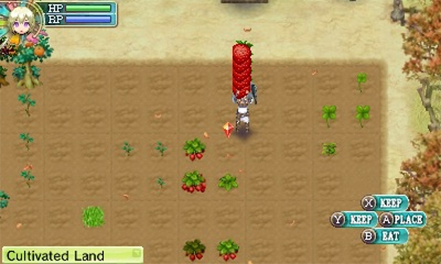 Rune Factory 4 Screenshot