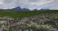 Lord of the Rings Online: Riders of Rohan Screenshot - click to enlarge