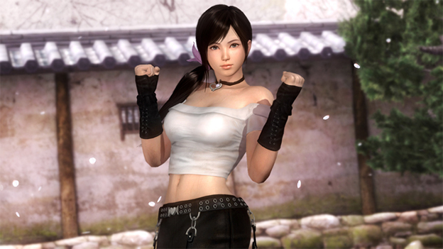 Dead or Alive 5: Ultimate Screenshot