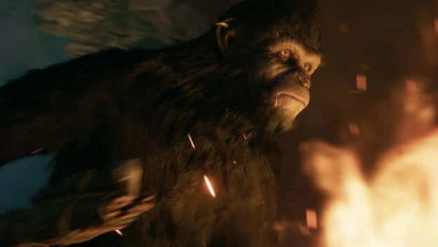 apes 81617.jpg