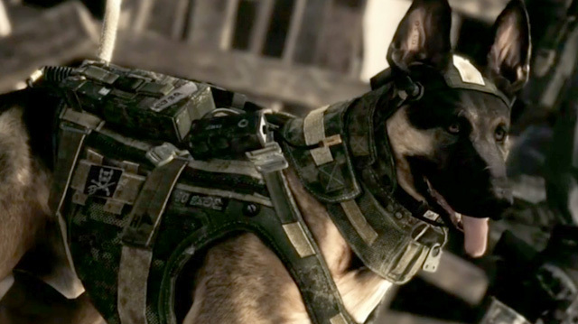 Call Of Duty: Ghosts