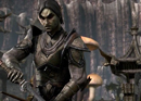 The Elder Scrolls Online - Gameplay Trailer - click to enlarge