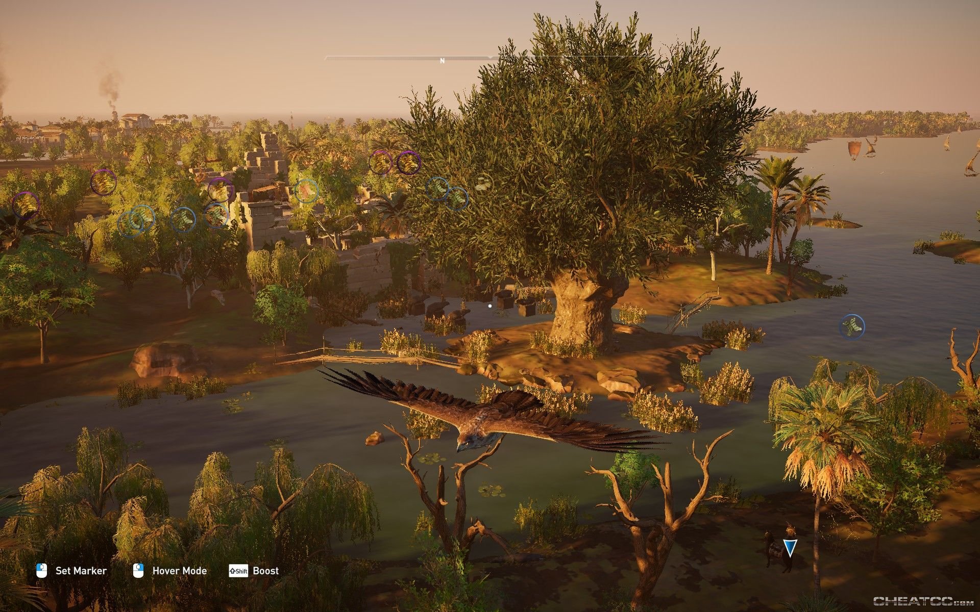 Assassin's Creed: Origins Guide & Walkthrough - Royal Flora