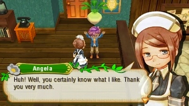 story of seasons rom 3ds