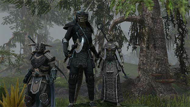 The Elder Scrolls Online Screenshot