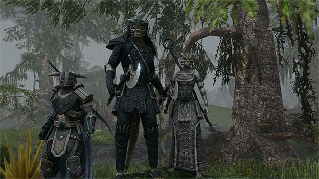 download the new version The Elder Scrolls Online