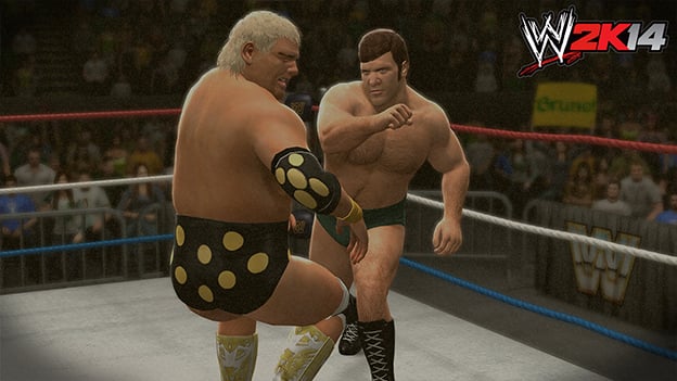 Captura de pantalla de WWE 2K14