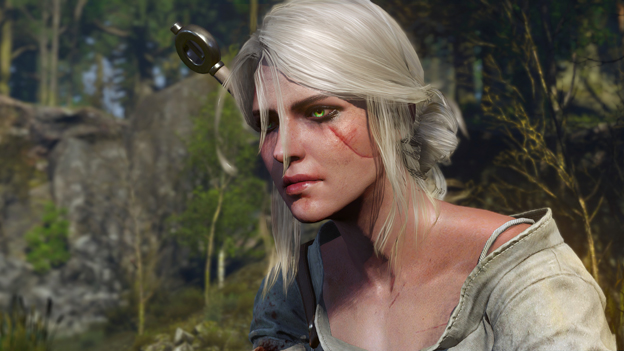 The Witcher 3: Wild Hunt Screenshot