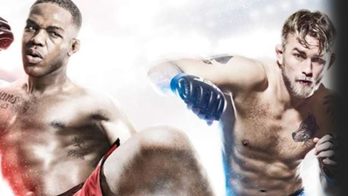 EA Sports UFC Review